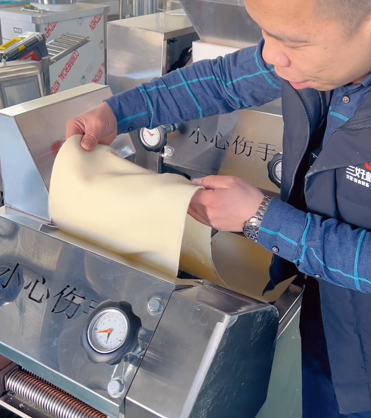 小型一次成型面條機(jī)