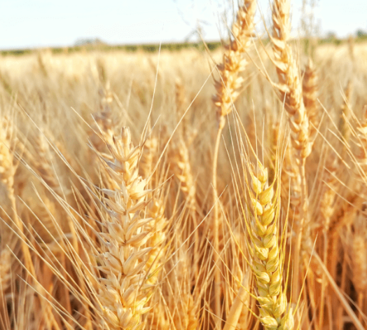 1689387739168555.png image.png